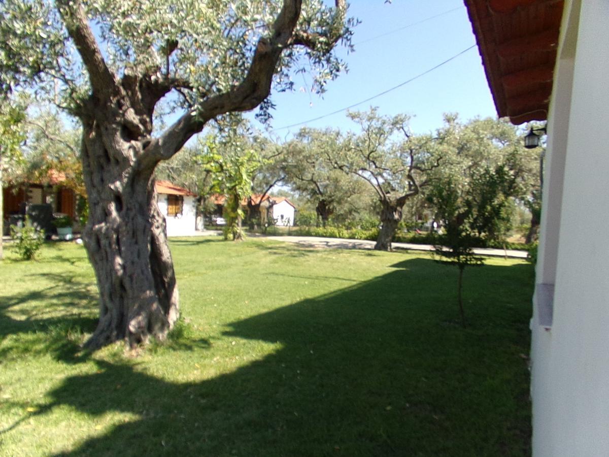 Villa Karapataki Скала-Рахониу Номер фото