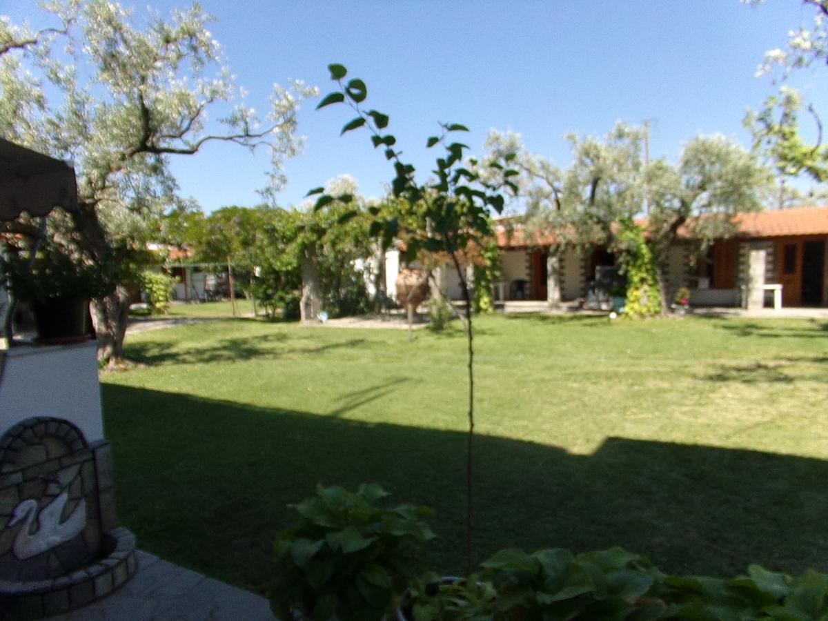 Villa Karapataki Скала-Рахониу Номер фото